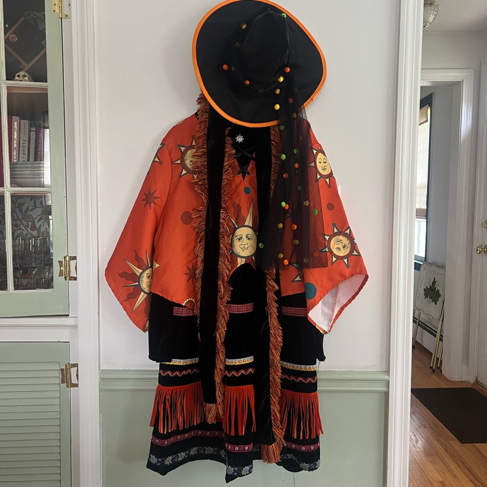 Witch Costume Adult Dani Dennison Hocus Pocus Halloween Costume Plus Size